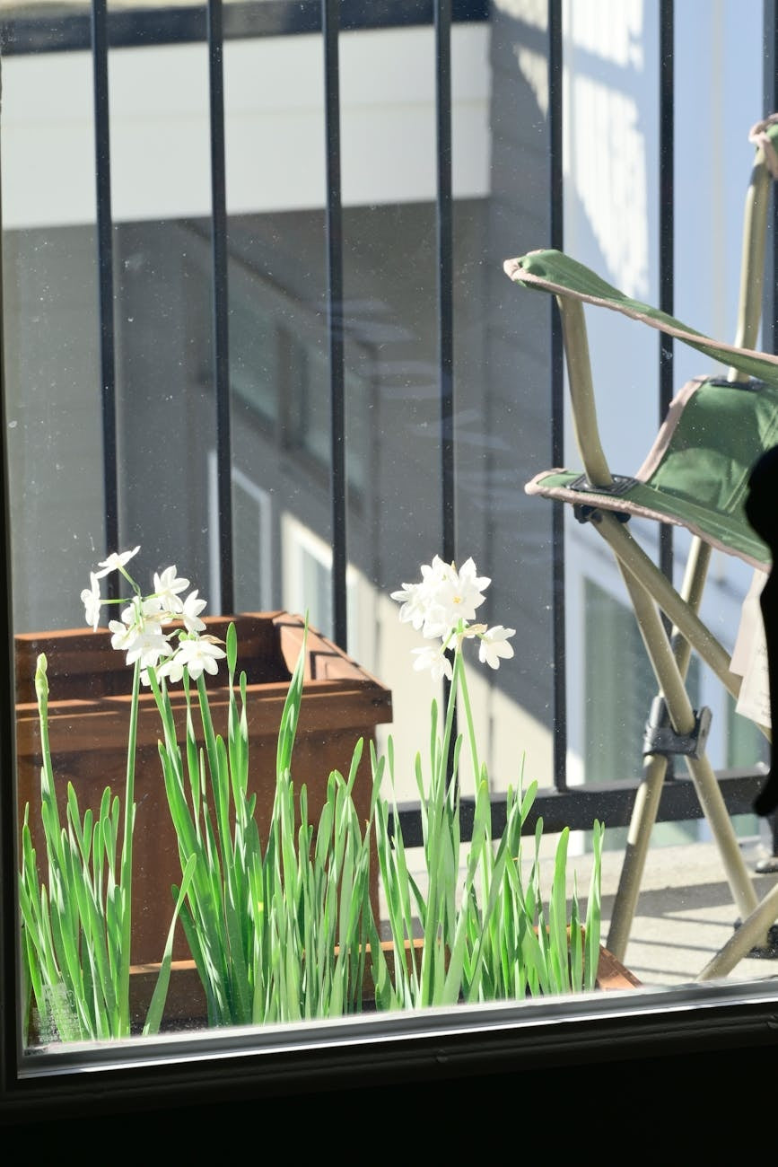 Raised garden bed patio vegetables photographed for a gardening guide