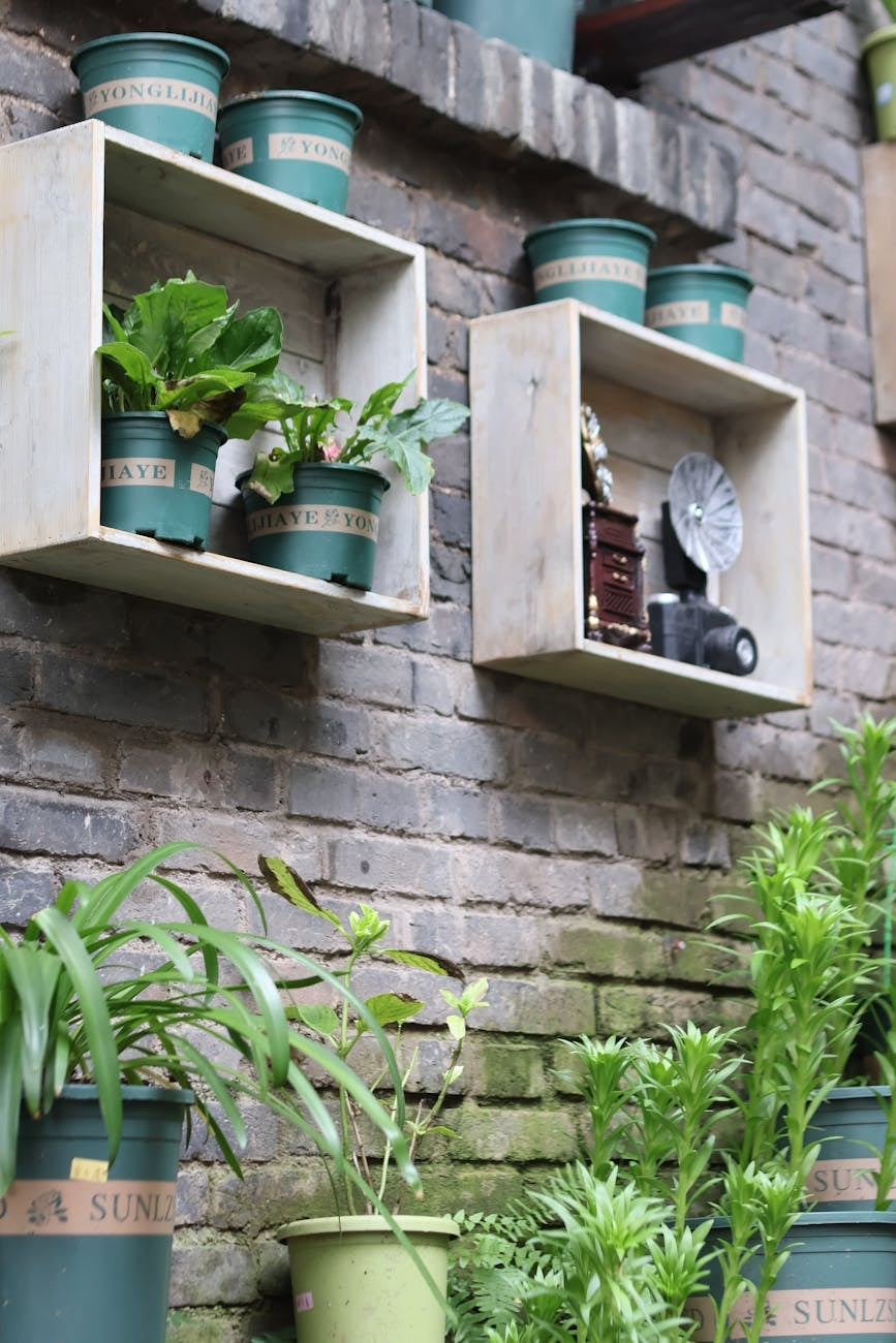 Vertical garden wall planter herbs photographed for a gardening guide
