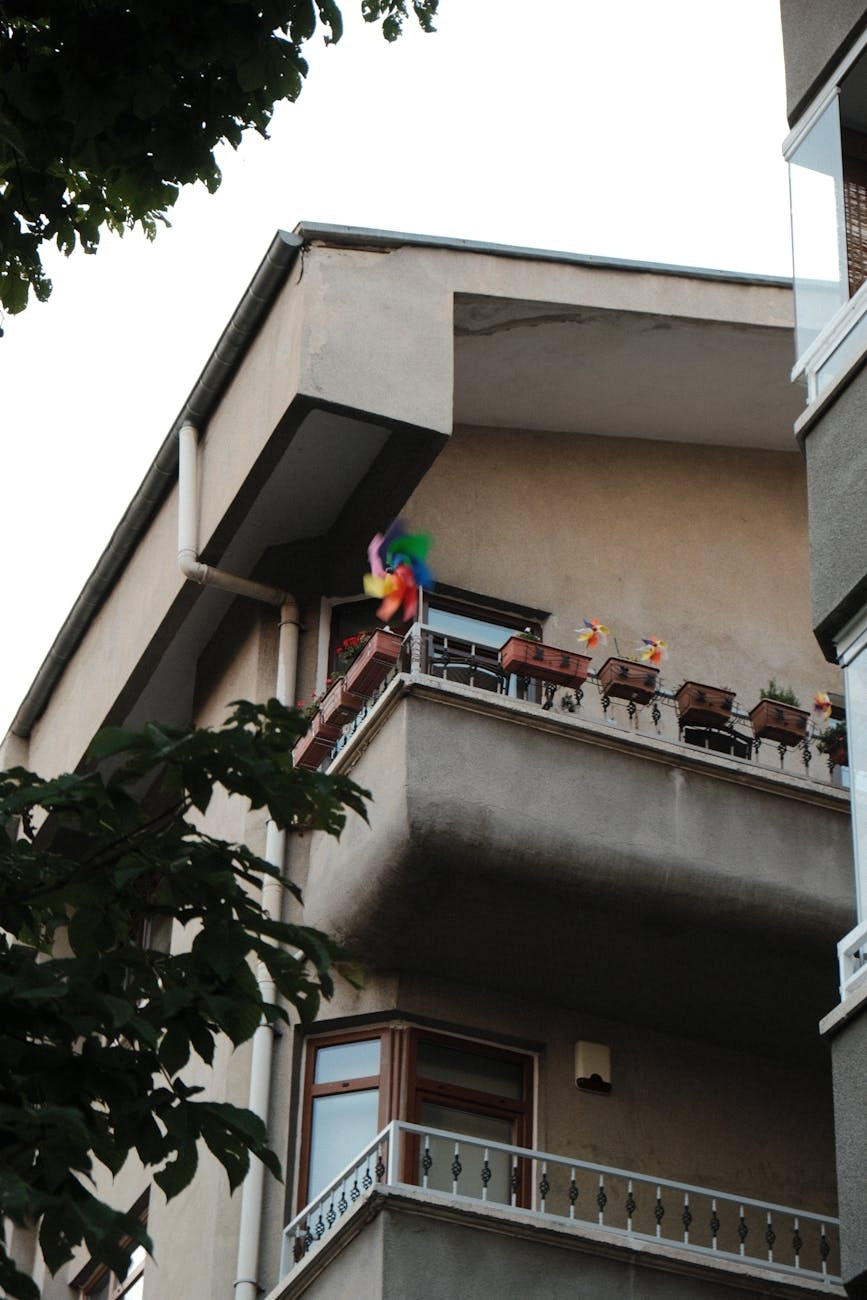 Seed starting tray seedlings indoor grow light photographed for a gardening guide