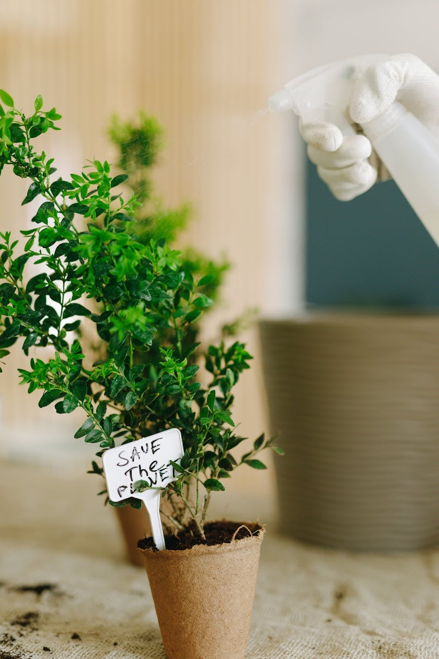 Organized small space garden design layout — gardening guide