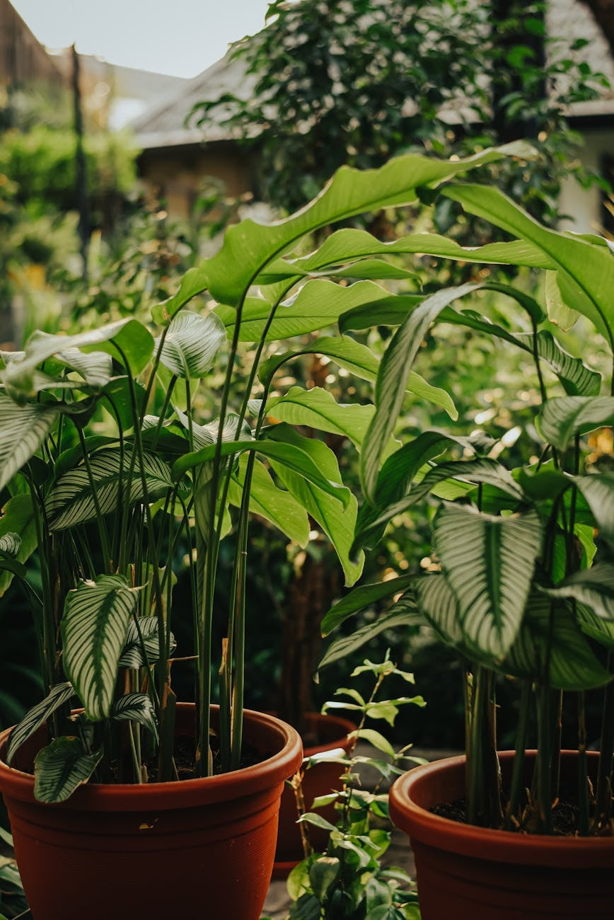 Indoor seed starting station with grow lights — gardening guide