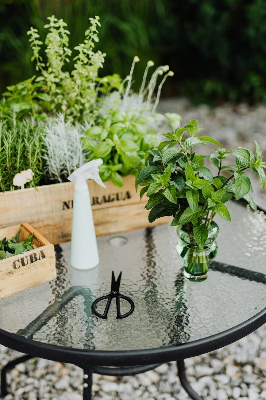 Uk balcony garden spring planting ideas — gardening guide