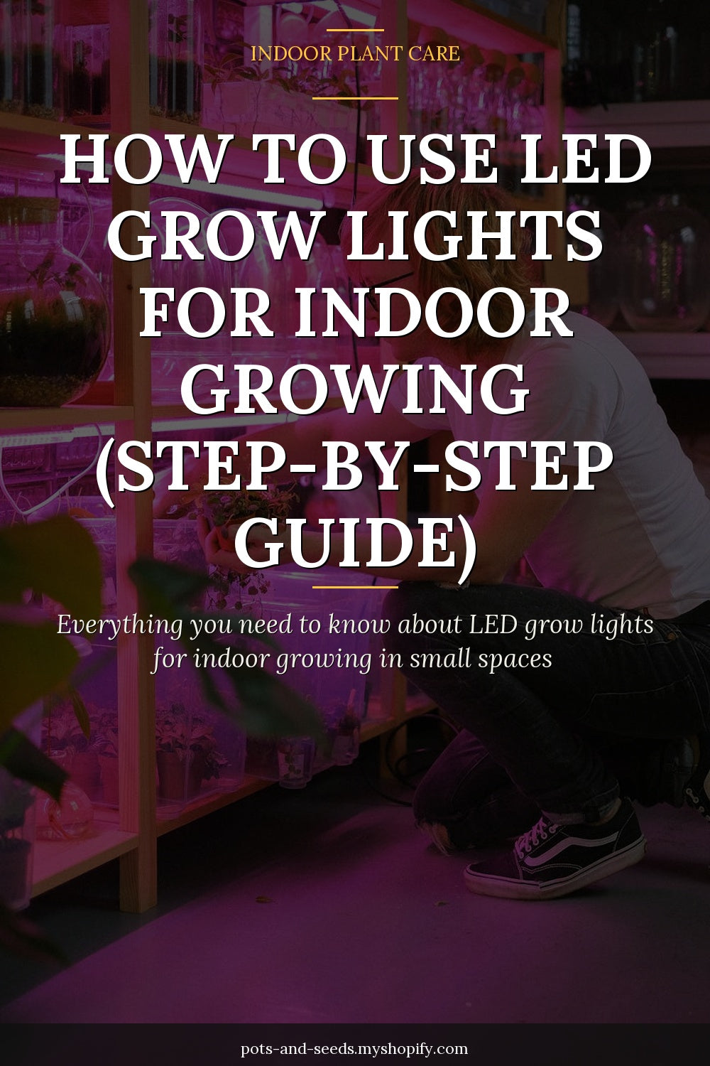 Led grow light indoor plants shelf photographed for a gardening guide