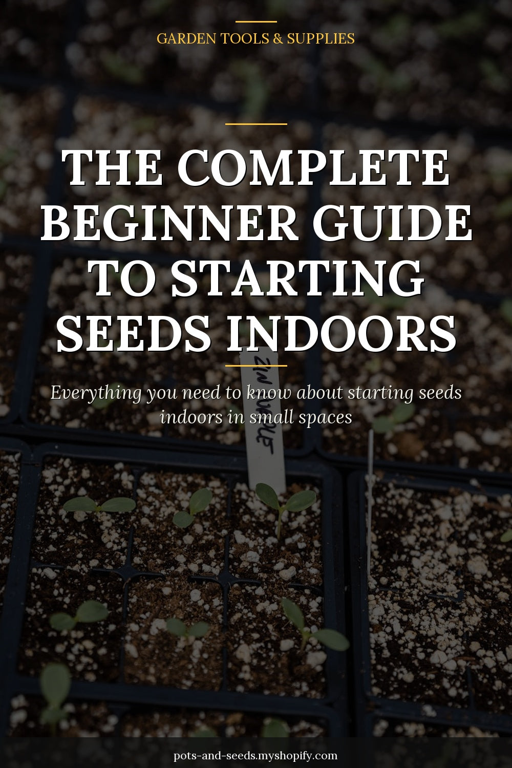Seed starting tray seedlings indoor grow light photographed for a gardening guide