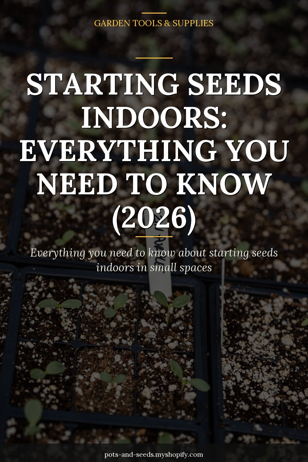 Seed starting tray seedlings indoor grow light photographed for a gardening guide