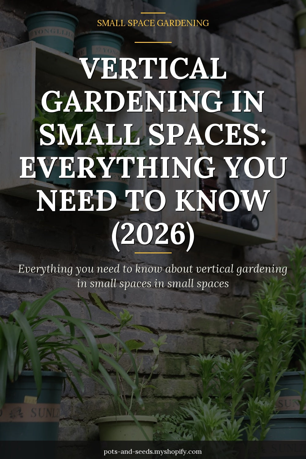 Vertical garden wall planter herbs photographed for a gardening guide