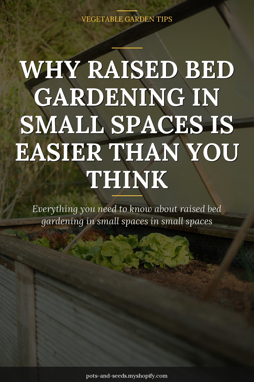 Raised garden bed patio vegetables photographed for a gardening guide