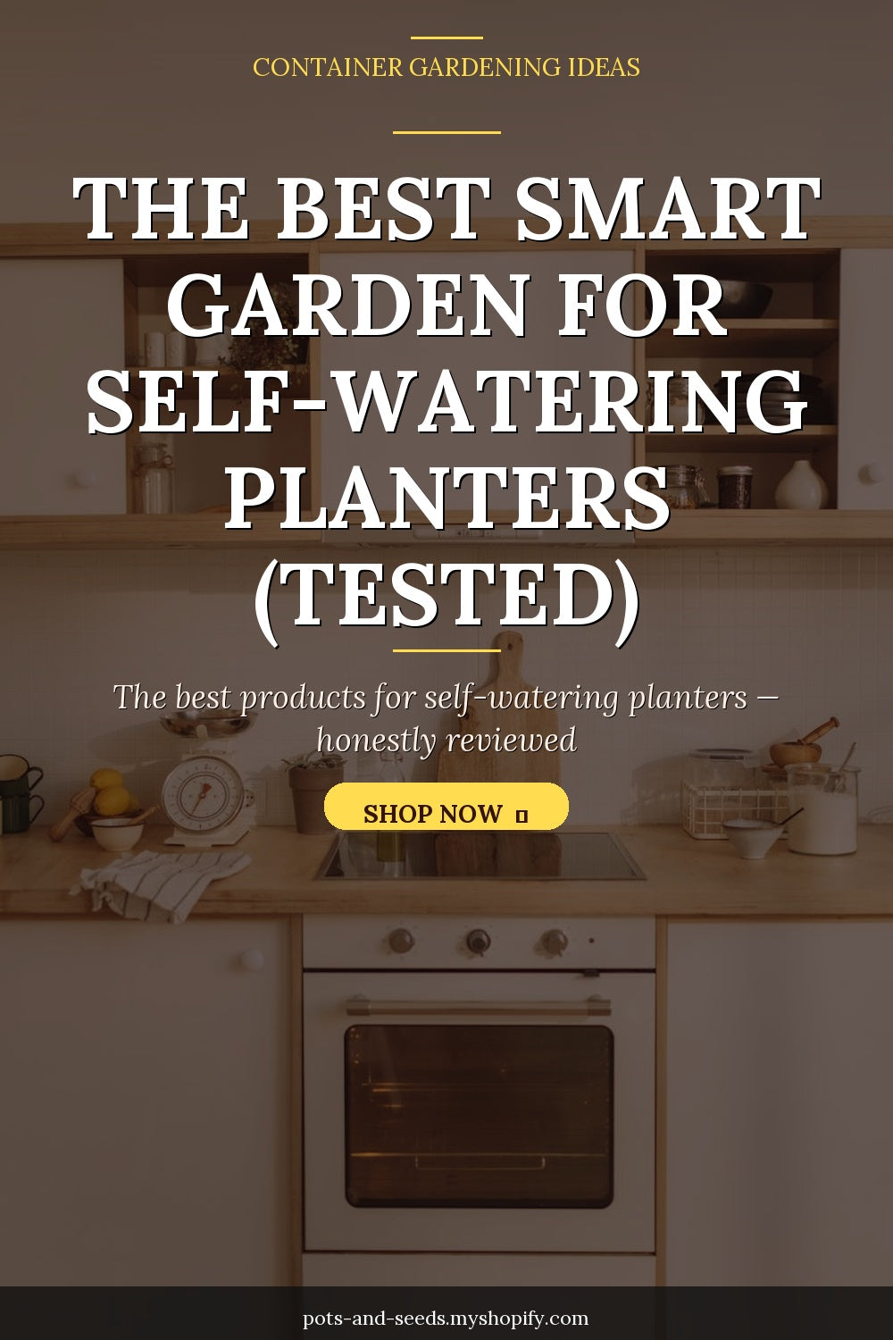 Self watering planter herbs modern kitchen photographed for a gardening guide
