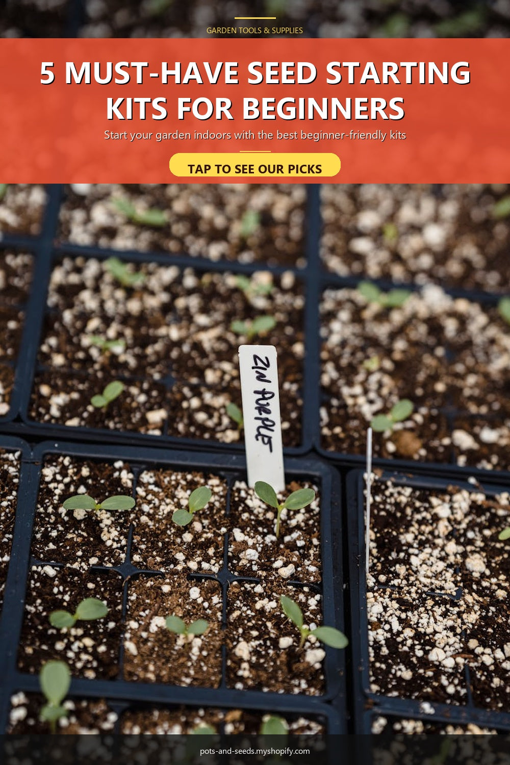 Fresh lettuce growing container garden photographed for a gardening guide