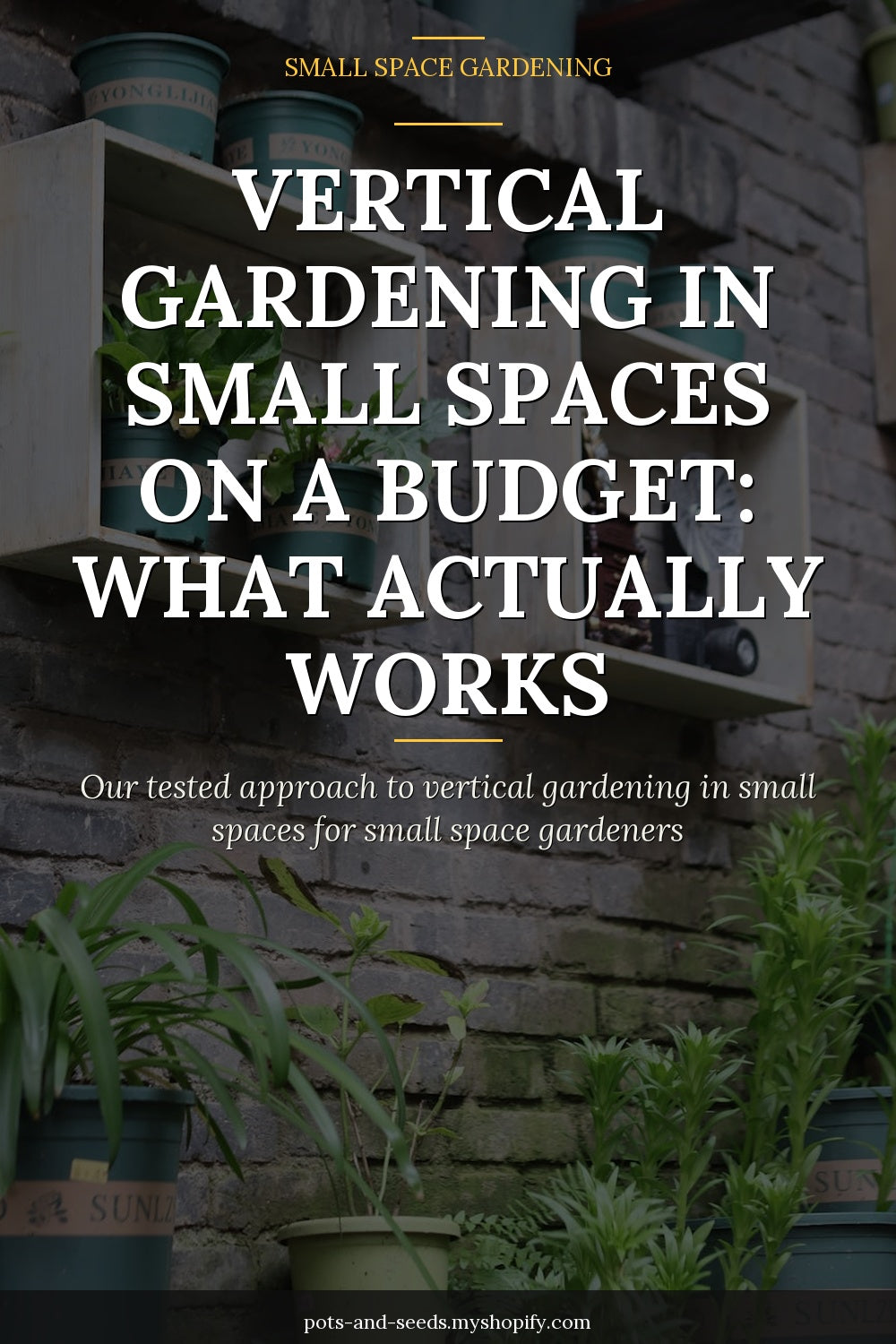 Vertical garden wall planter herbs photographed for a gardening guide
