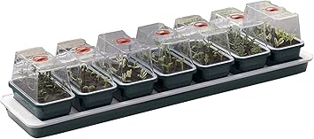 Britten & James Heated Windowsill Nursery 7-in-1 Propagator Set