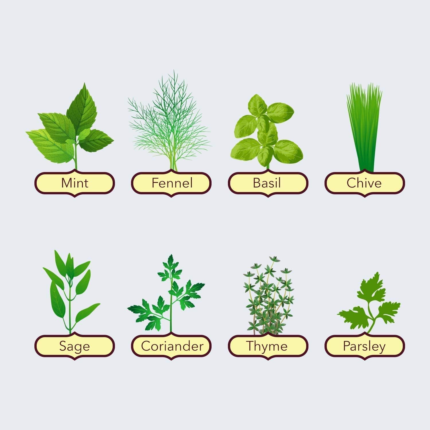 Indoor Herb Garden Starter Kit — Seeds, Pots & Compost Discs