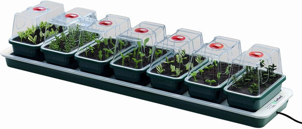 Garland Super7 Electric Heated Windowsill Propagator