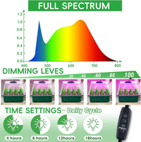 YAUNGEL Seed Starting Trays with LED Grow Lights (4-Pack)