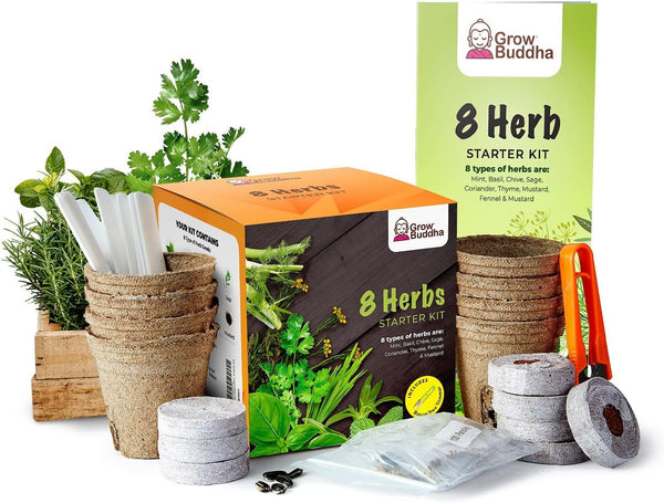 Indoor Herb Garden Starter Kit — Seeds, Pots & Compost Discs